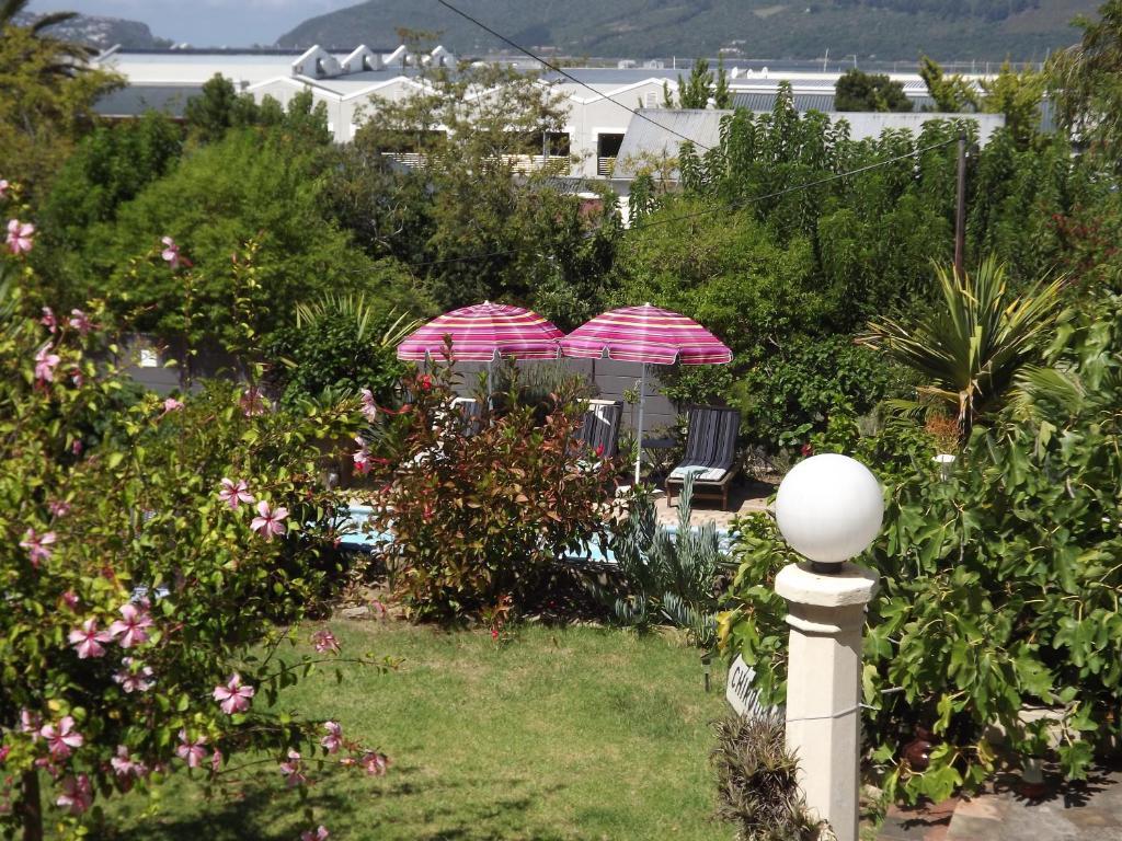 Aestas Bed & Breakfast Knysna Habitación foto